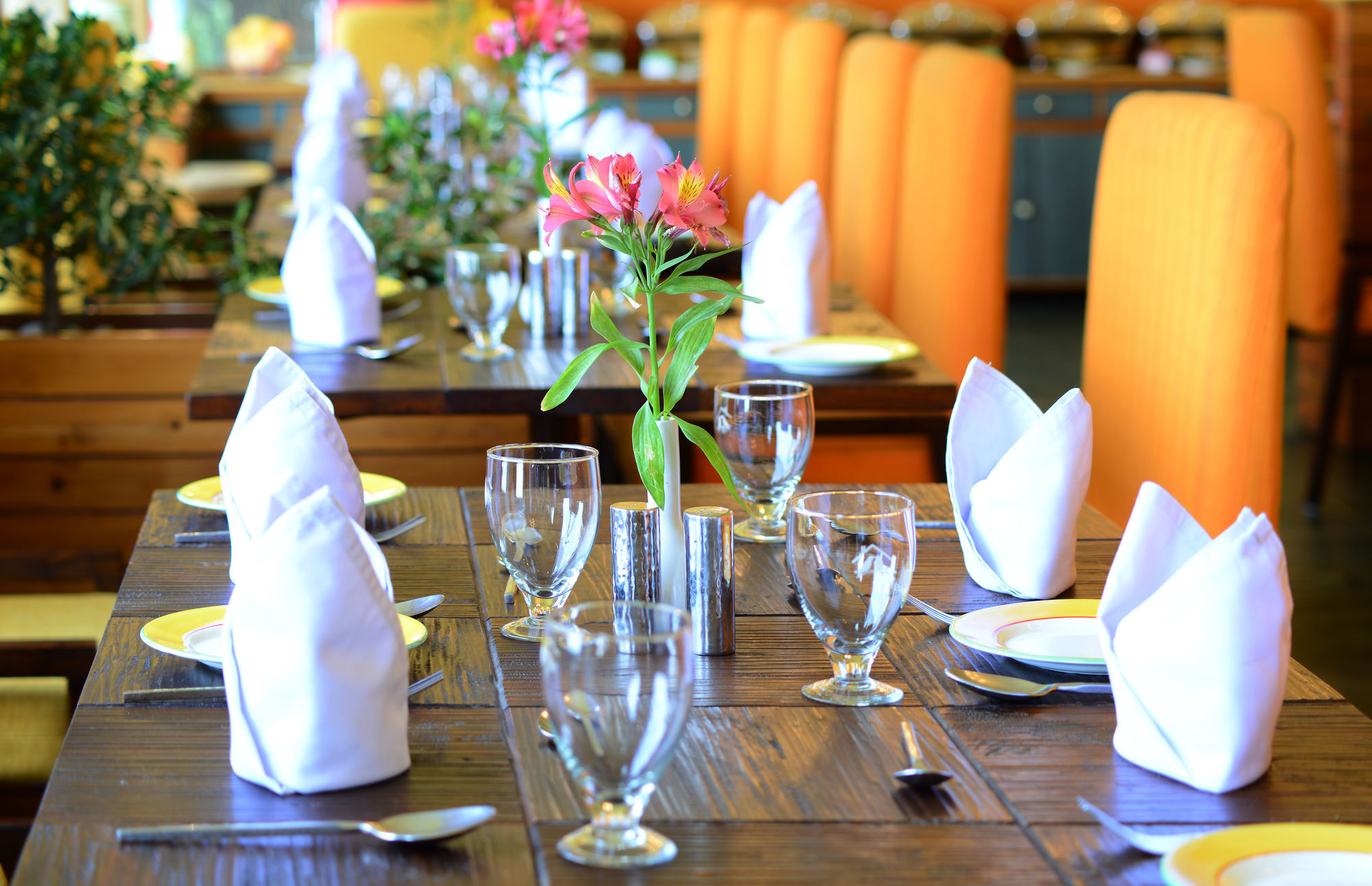 Honeymoon Inn Mussoorie Bagian luar foto